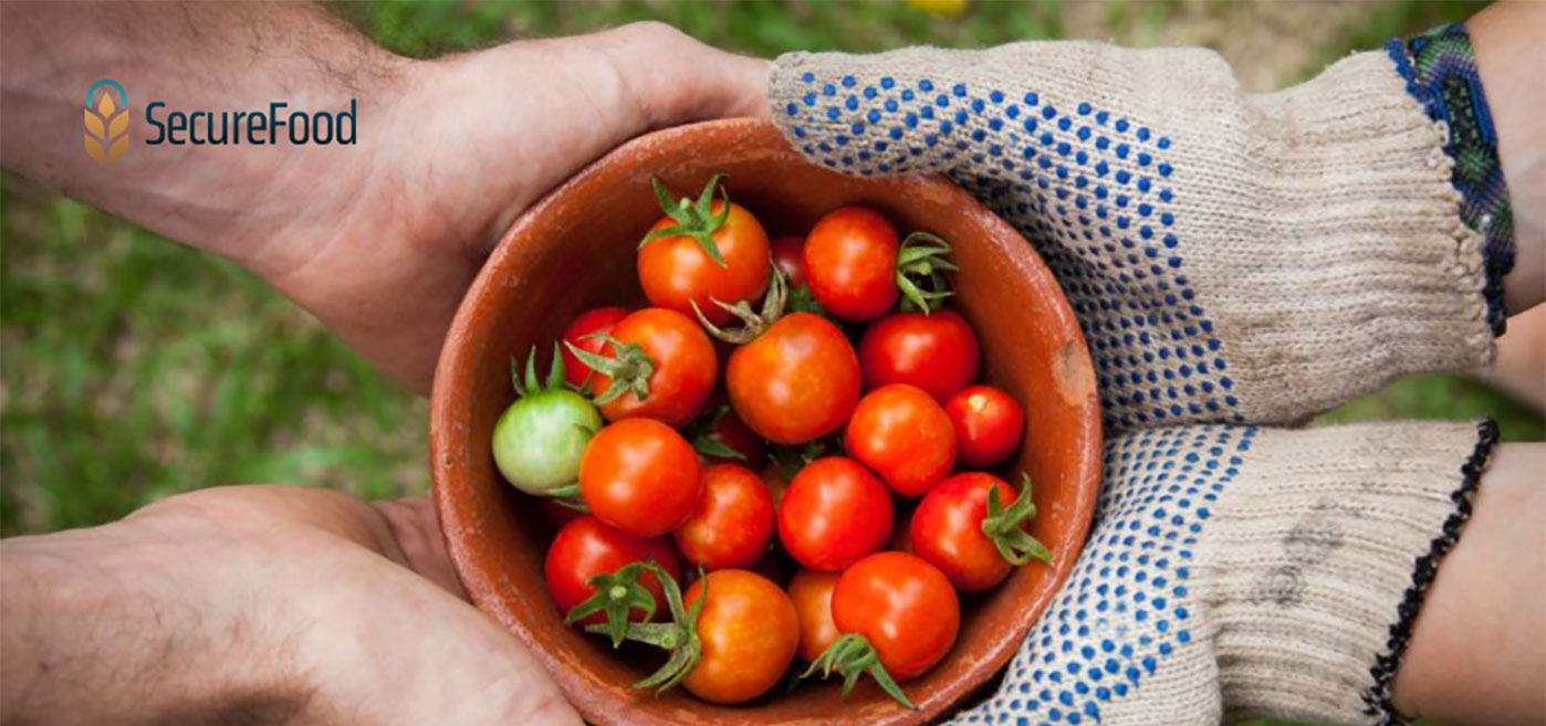 Secure Food: Καταπολεμώντας την επισιτιστική ανασφάλεια